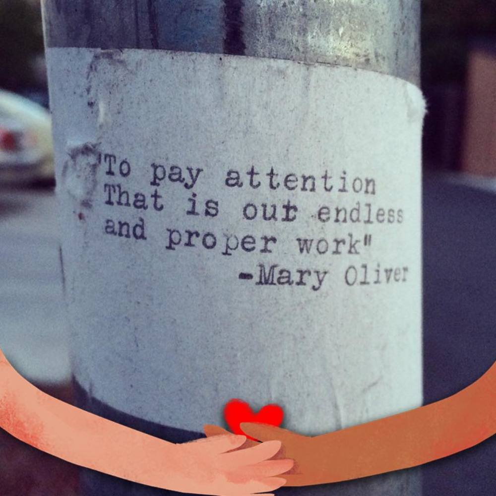 Meet your Posher, Ali